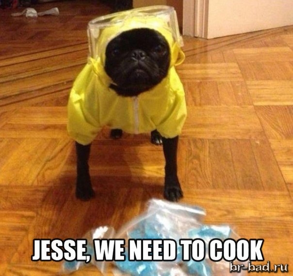 Jesse we need to coock